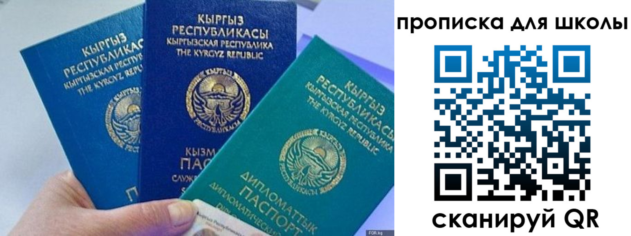 прописка регистрация в Торопеце